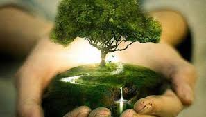 Greeny Seva – Save Trees